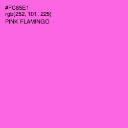 #FC65E1 - Pink Flamingo Color Image